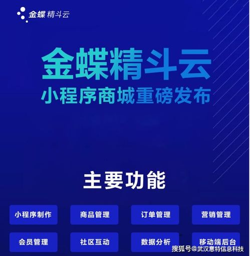 小微企业数字化转型优选 金蝶精斗云财务软件与基于云的业务外包服务